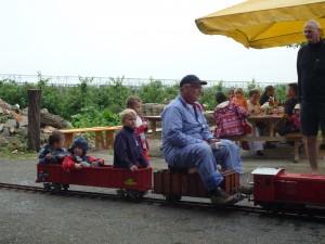 Eisenbahnrundfahrten vom Modelleisenbahnclub Einsiedeln organisiert
