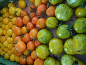 Tomaten in allen Farben